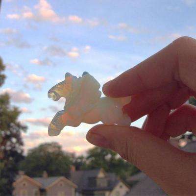 江南全站登录手机app下载