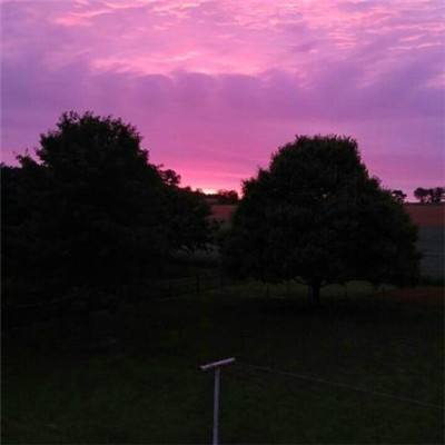 BOB体育综合入口app下载